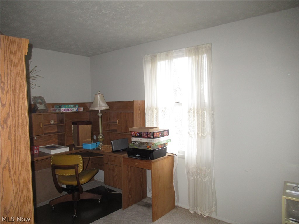 6919 Kirk Road Canfield, OH 44406 - Photo 21 of 32 Gallery Image 21