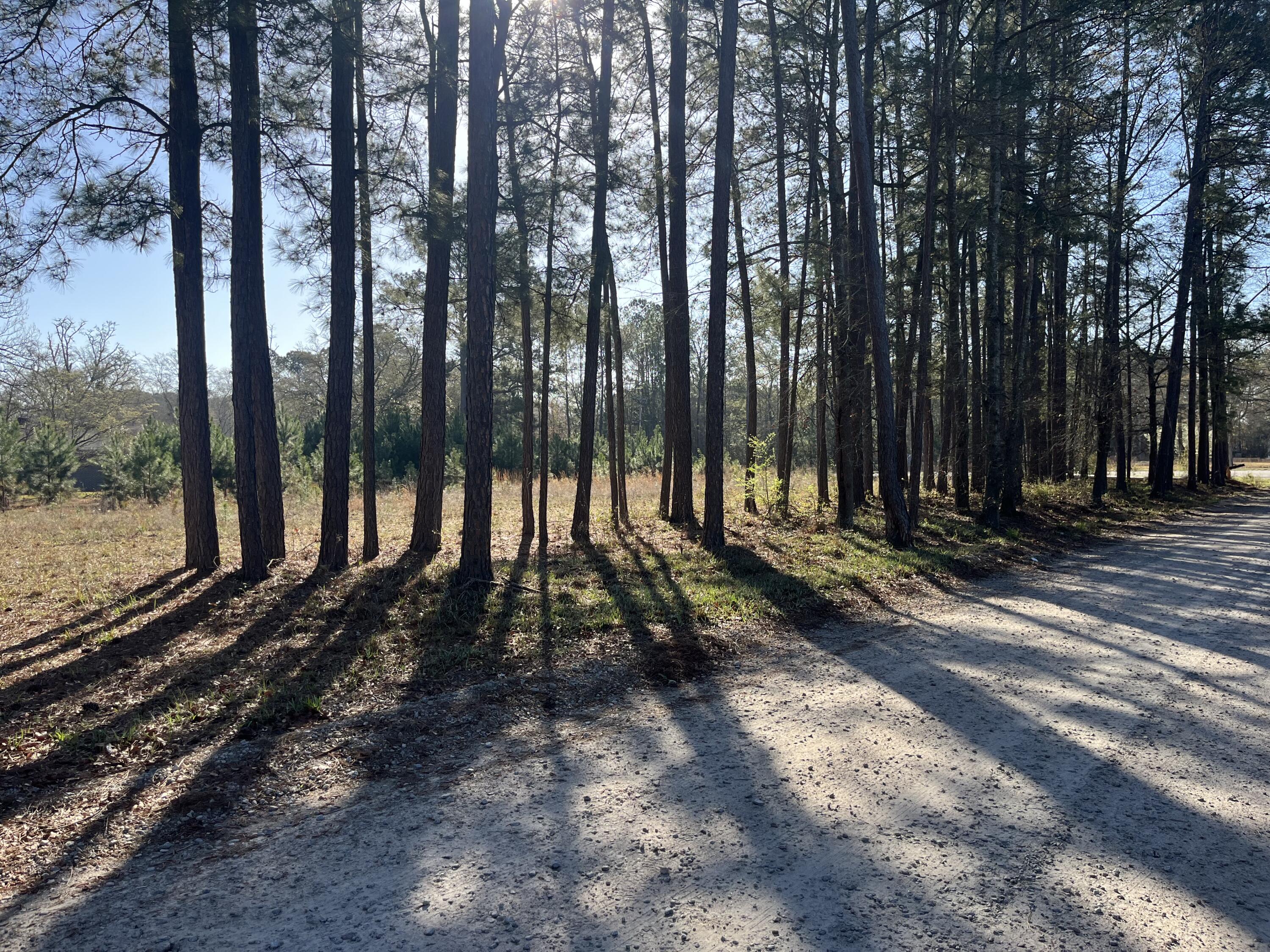 379 Chestnut Road Walterboro, SC 29488 - Photo 29 of 33 IMG_2863