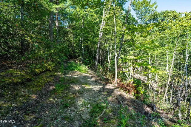 $299,900 | 584 Dotson Road, Trade, TN 37691