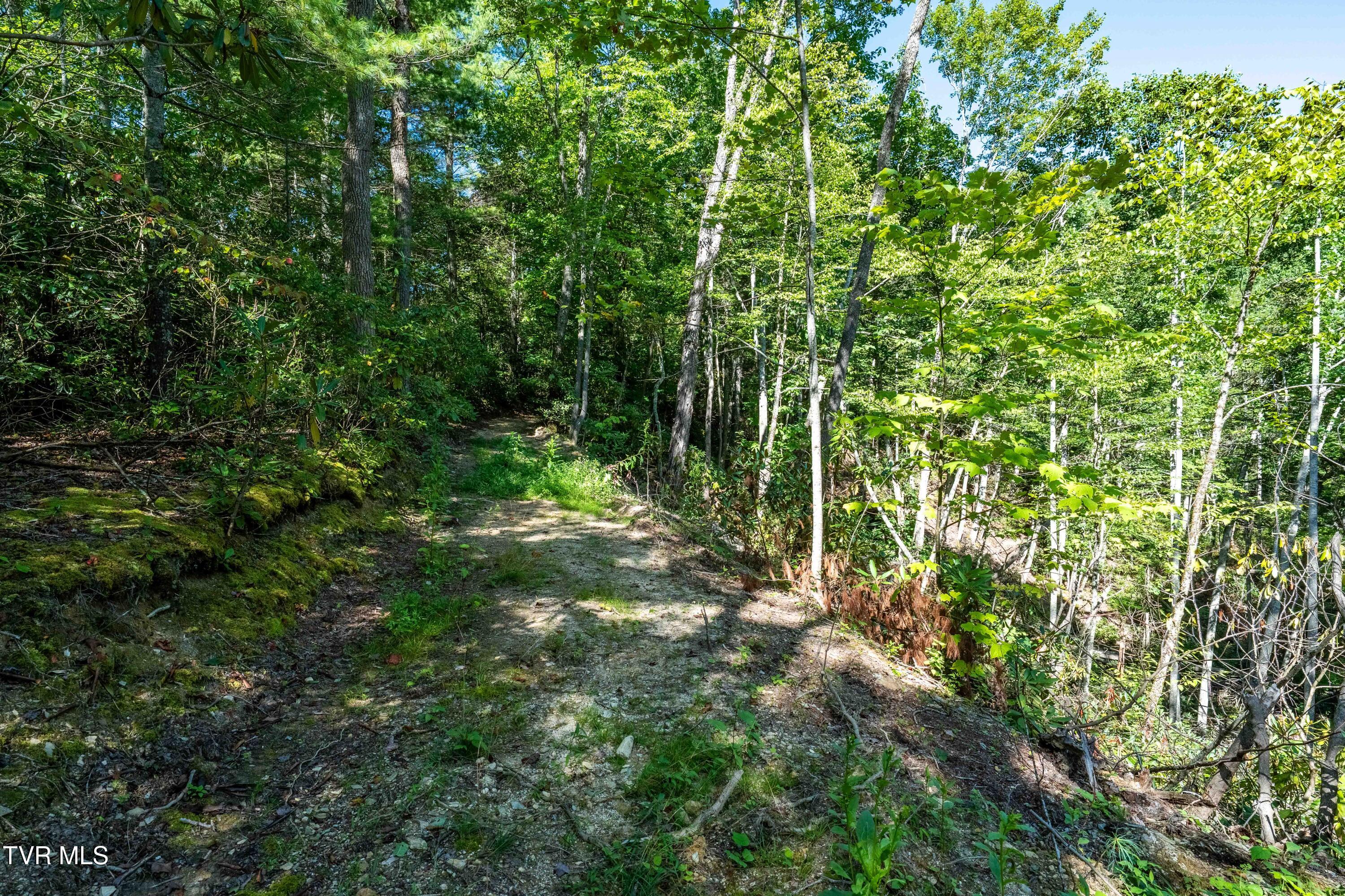 584 Dotson Road Trade, TN 37691 - Photo 45 of 50 584 Dotson Road (71 of 112)