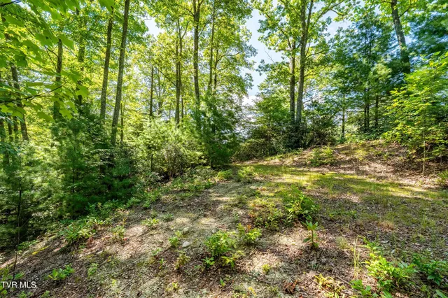 $299,900 | 584 Dotson Road, Trade, TN 37691