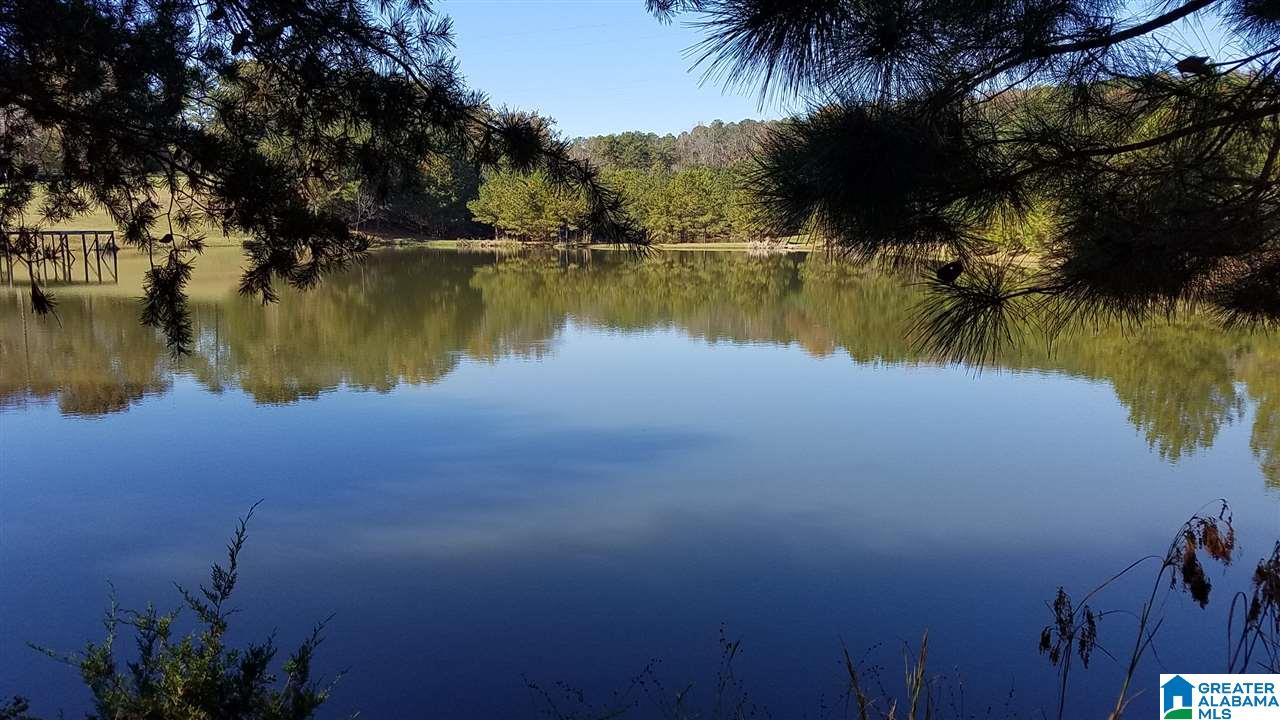 298 Bowerman Road Blountsville, AL 35031 - Photo 28 of 30
