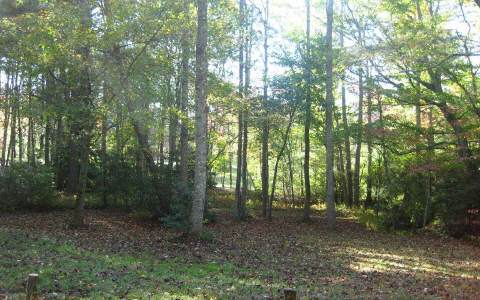 Lot18 Lot18 Spring Camp Road Ellijay, GA 30536 - Photo 1 of 1 Main View