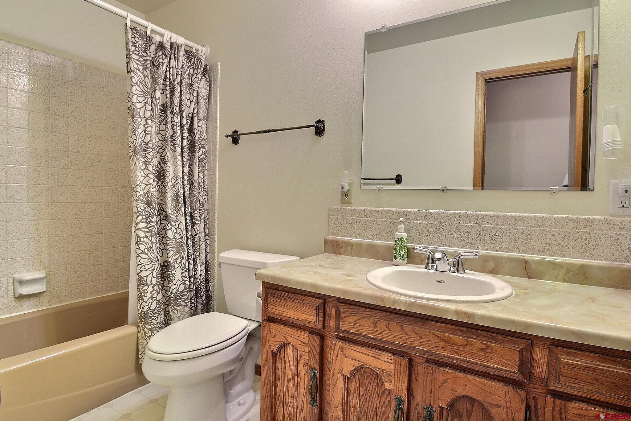 21061 Ivanhoe Road Austin, CO 81410 - Photo 15 of 24 a bathroom with a sink a toilet a mirror a bathtub and shower