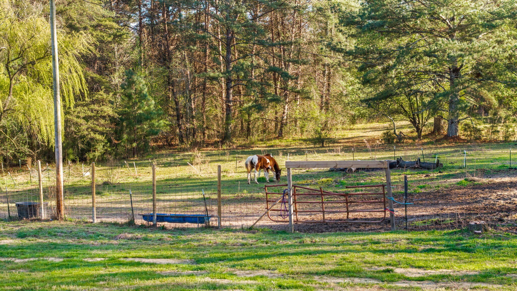 4356 Trewhitt Road Southeast Cleveland, TN 37323 - Photo 71 of 82 Gallery Image 71