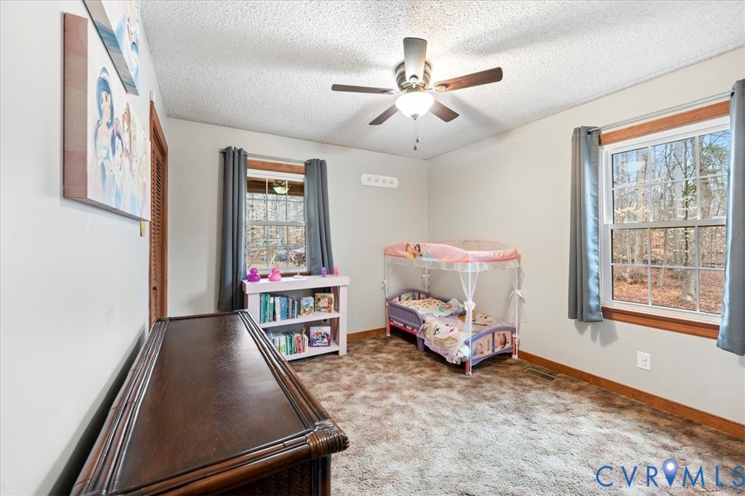 4380 Pierce Road Powhatan, VA 23139 - Photo 13 of 25 Gallery Image 13