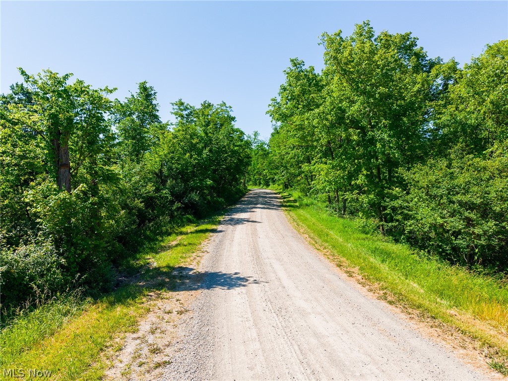 84143 Gilmore Ridge Road Cadiz, OH 43907 - Photo 12 of 32
