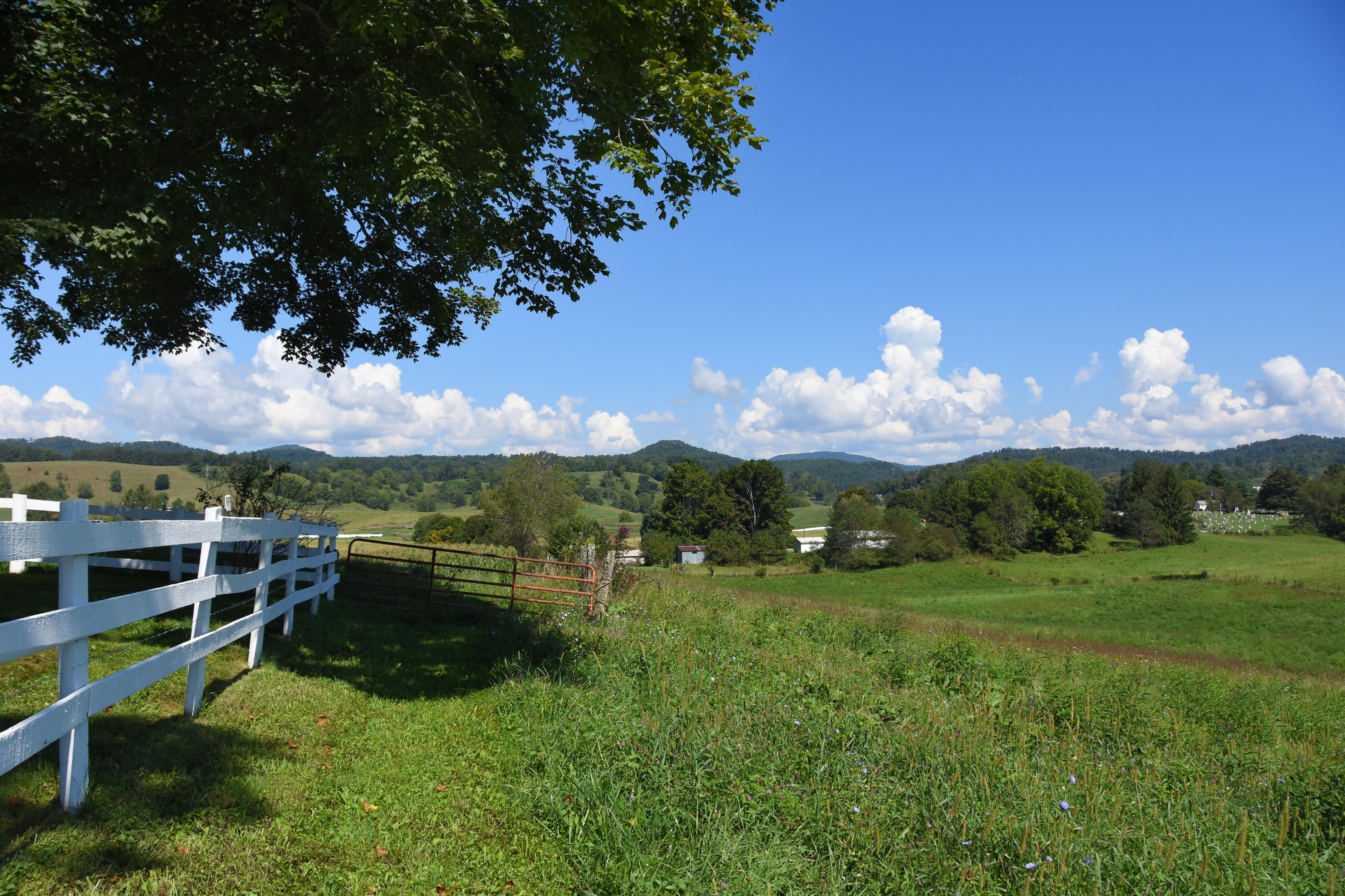 4709 Spring Creek Station Road Renick, WV 24966 - Photo 8 of 77 Gallery Image 8