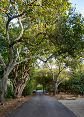 view of a white and black white and white