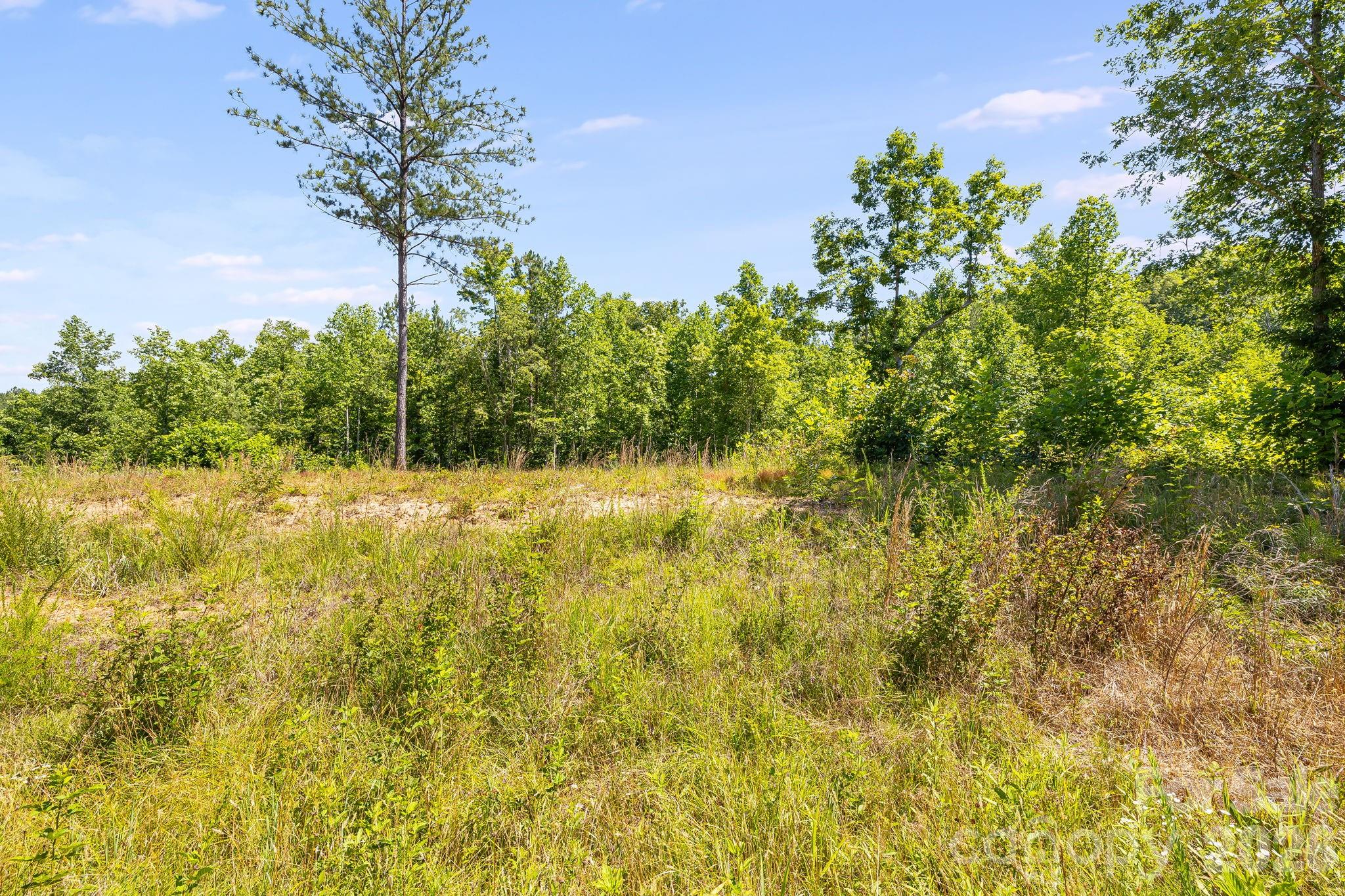 Lot #2 Clark Road Rutherfordton, NC 28139 - Photo 12 of 36