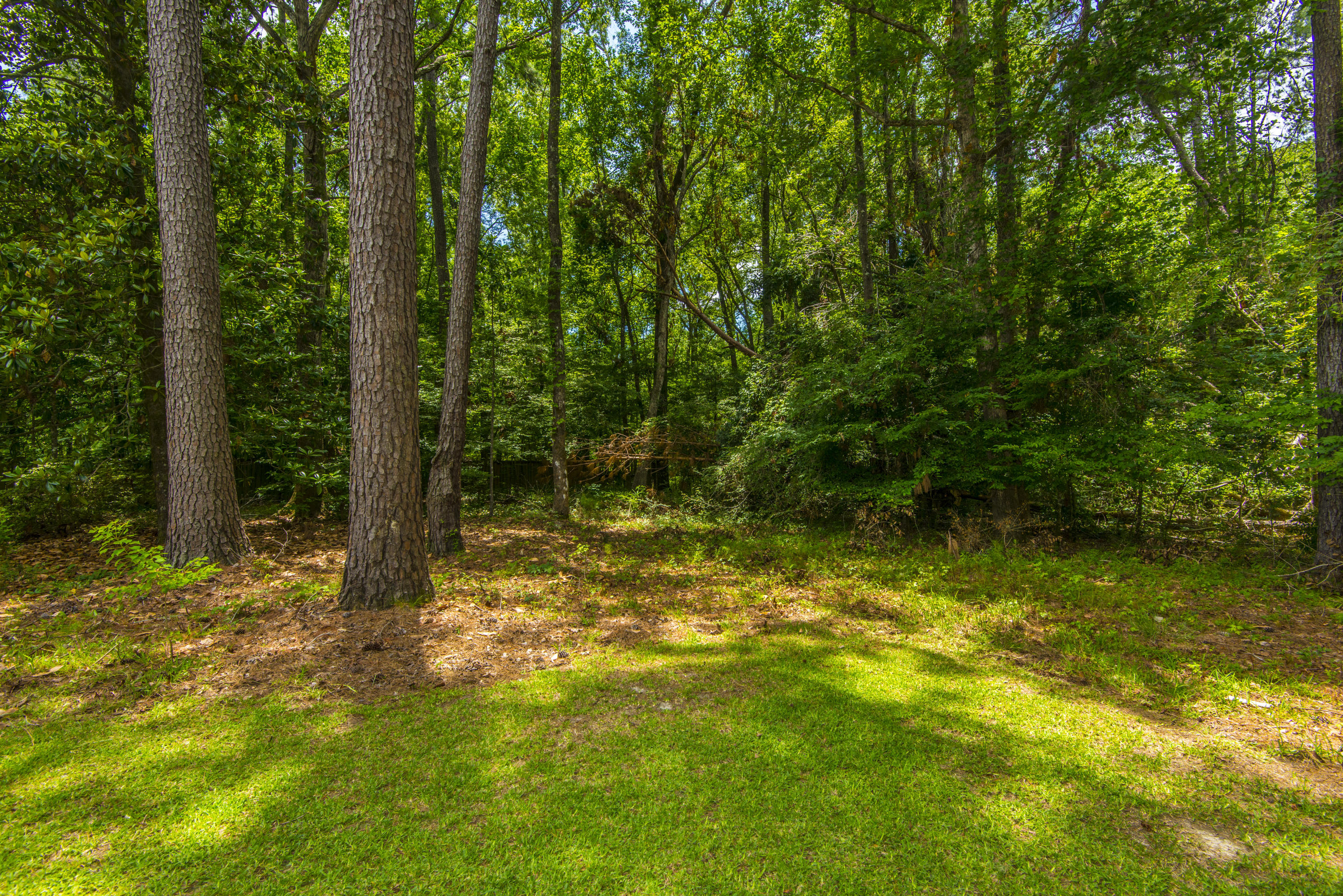 206 Huntington Road Summerville, SC 29483 - Photo 41 of 41 _DSC9257