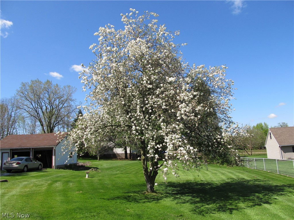 4365 Minor Road Akron, OH 44321 - Photo 29 of 30