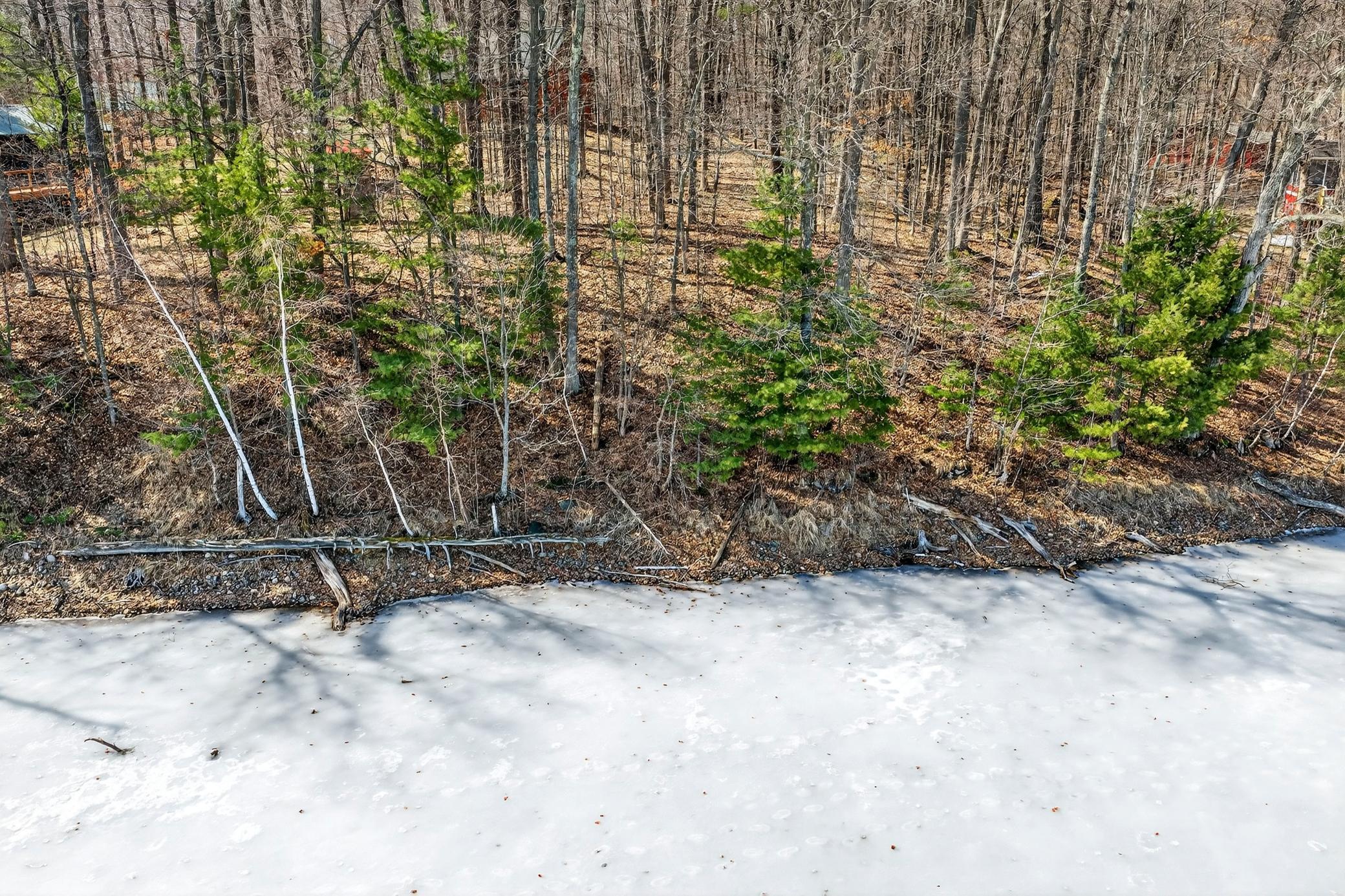 Tbd Ripley Spur Road Sarona, WI 54870 - Photo 11 of 24