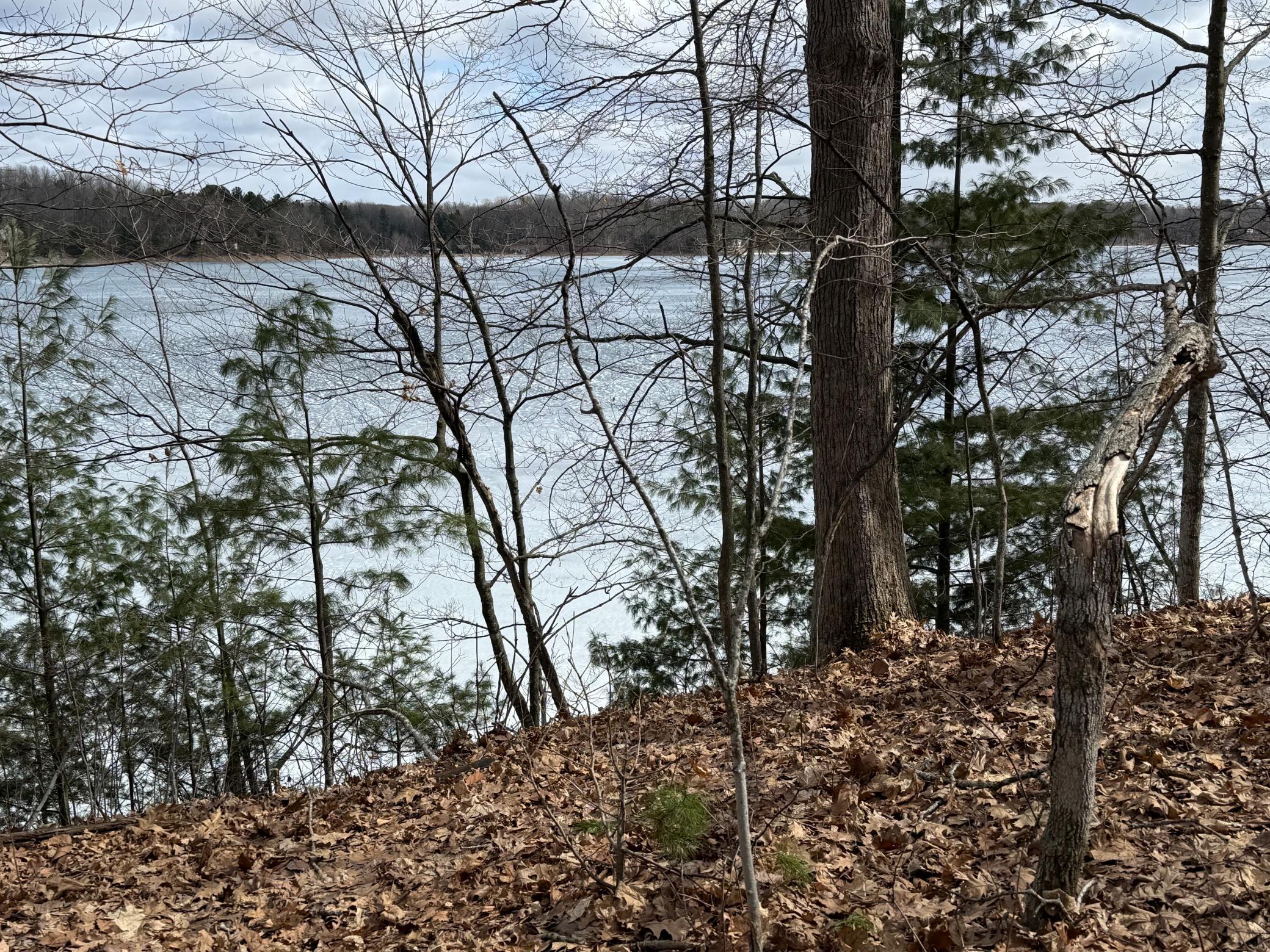 Tbd Ripley Spur Road Sarona, WI 54870 - Photo 14 of 24