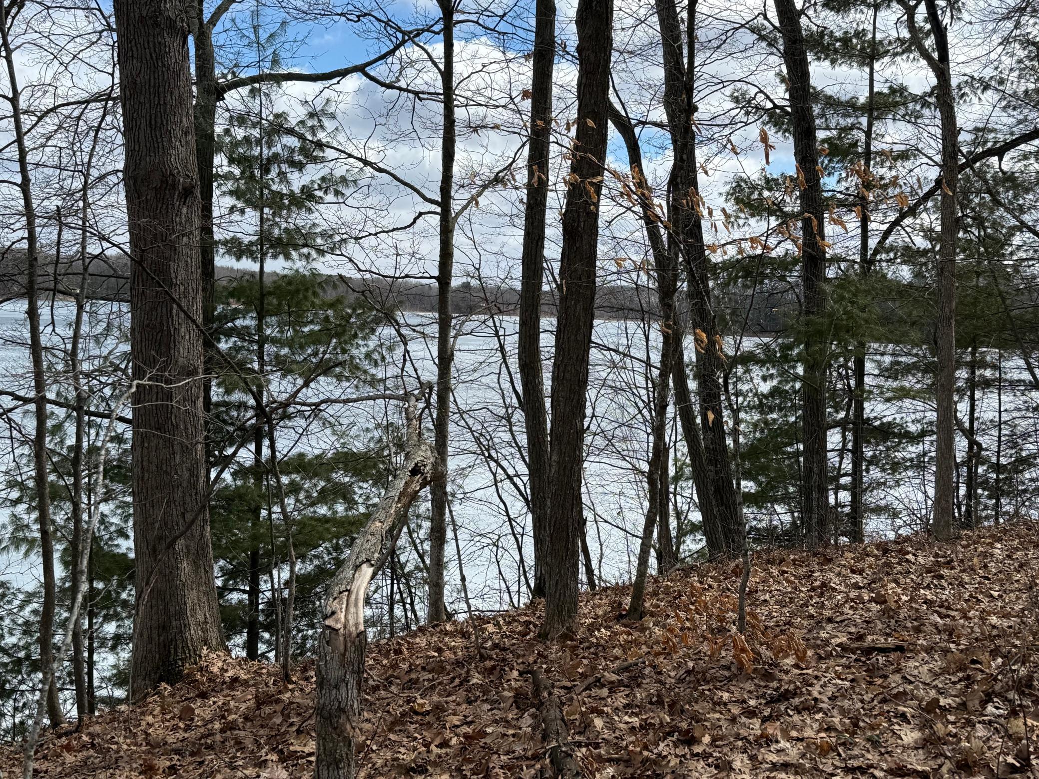 Tbd Ripley Spur Road Sarona, WI 54870 - Photo 15 of 24