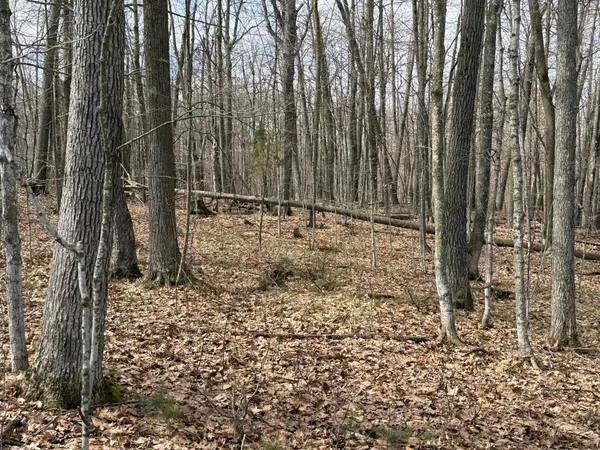 $244,900 | Tbd Ripley Spur Road, Sarona, WI 54870