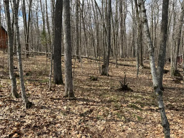 $244,900 | Tbd Ripley Spur Road, Sarona, WI 54870
