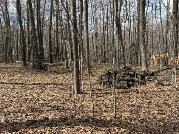 $244,900 | Tbd Ripley Spur Road, Sarona, WI 54870