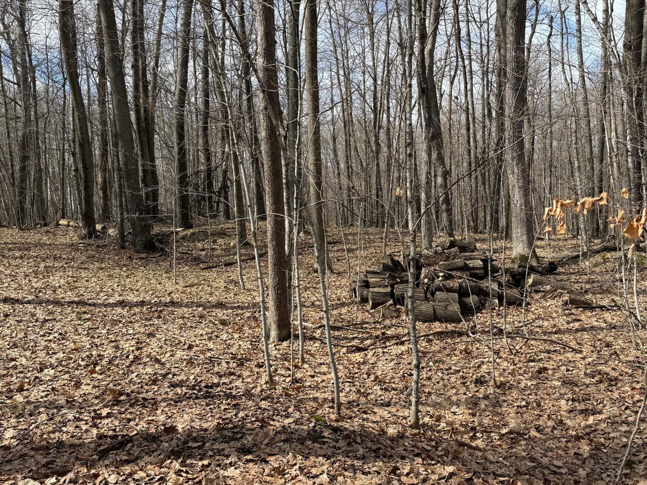 Tbd Ripley Spur Road Sarona, WI 54870 - Photo 20 of 24