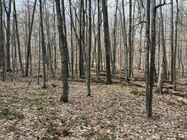 $244,900 | Tbd Ripley Spur Road, Sarona, WI 54870
