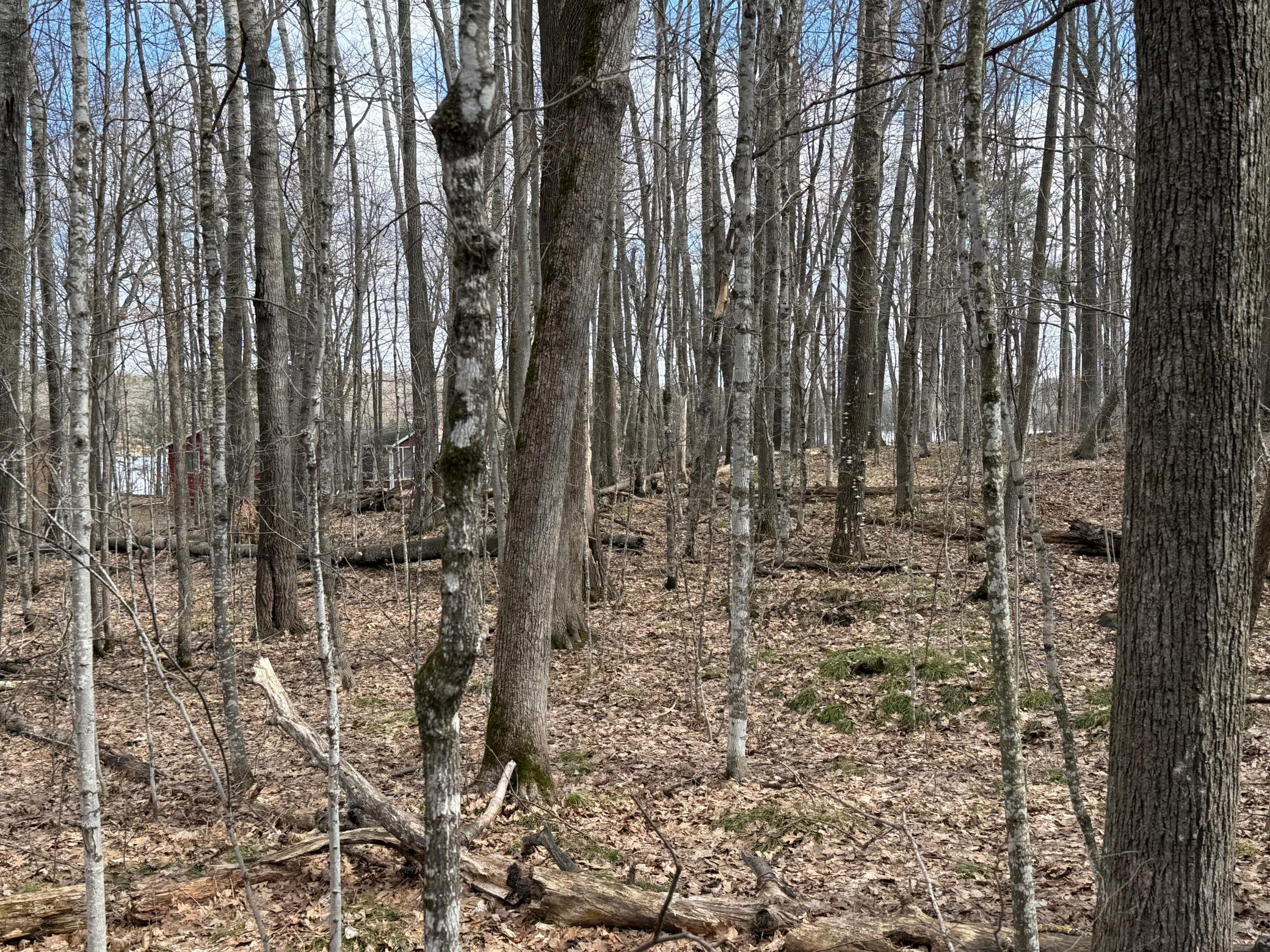 Tbd Ripley Spur Road Sarona, WI 54870 - Photo 22 of 24