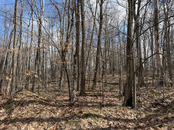 $244,900 | Tbd Ripley Spur Road, Sarona, WI 54870