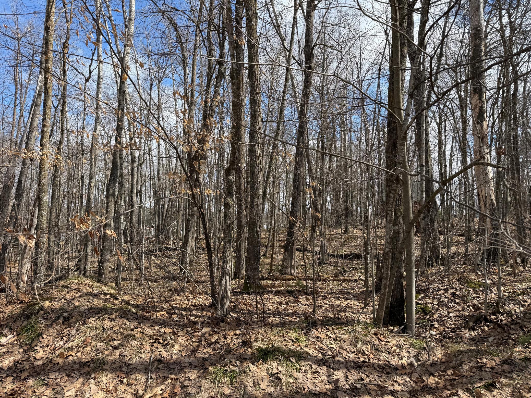 Tbd Ripley Spur Road Sarona, WI 54870 - Photo 23 of 24