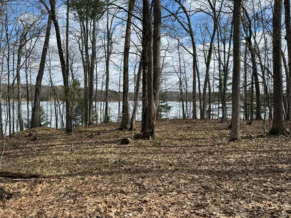 $244,900 | Tbd Ripley Spur Road, Sarona, WI 54870