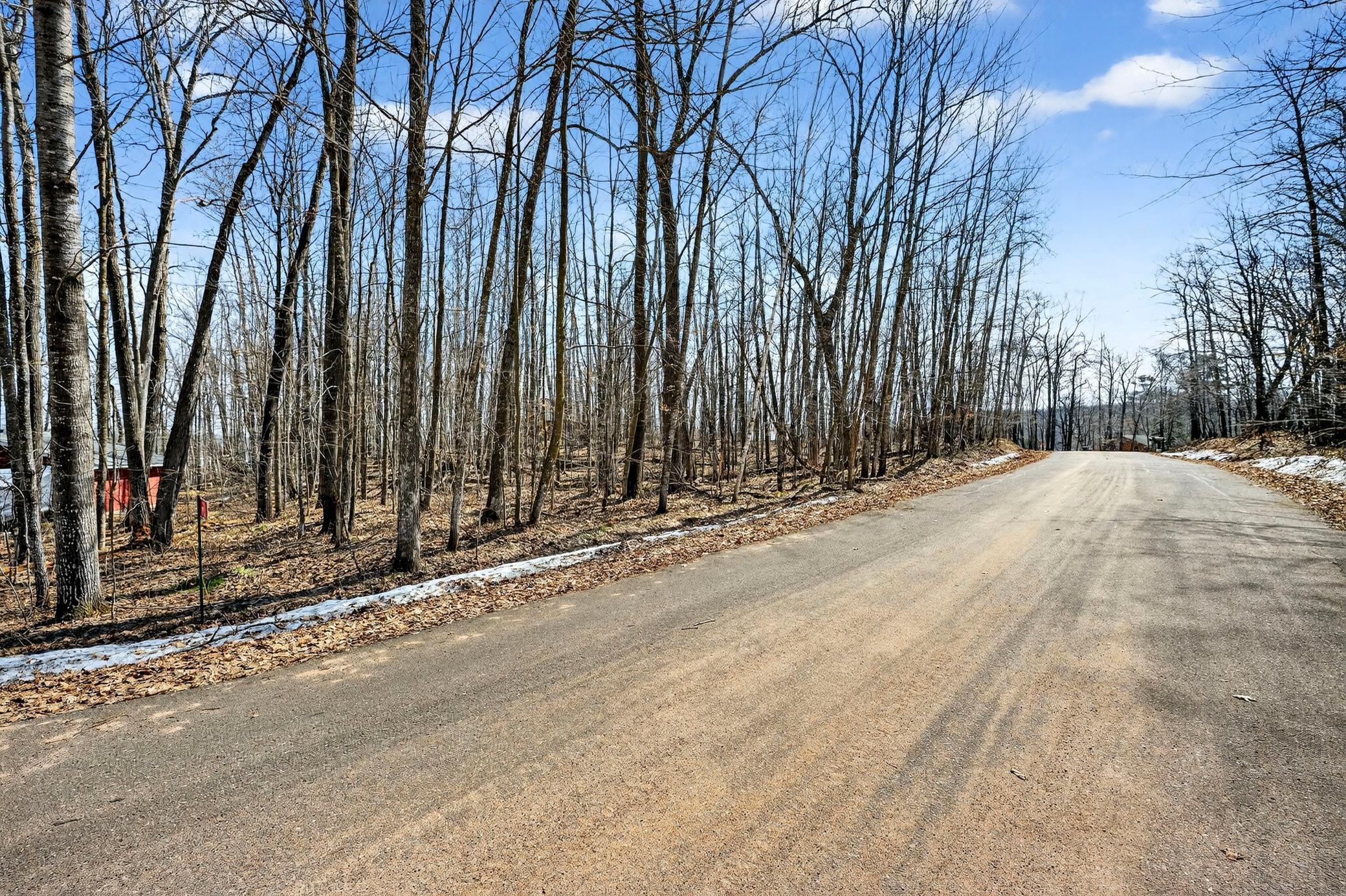 Tbd Ripley Spur Road Sarona, WI 54870 - Photo 8 of 24