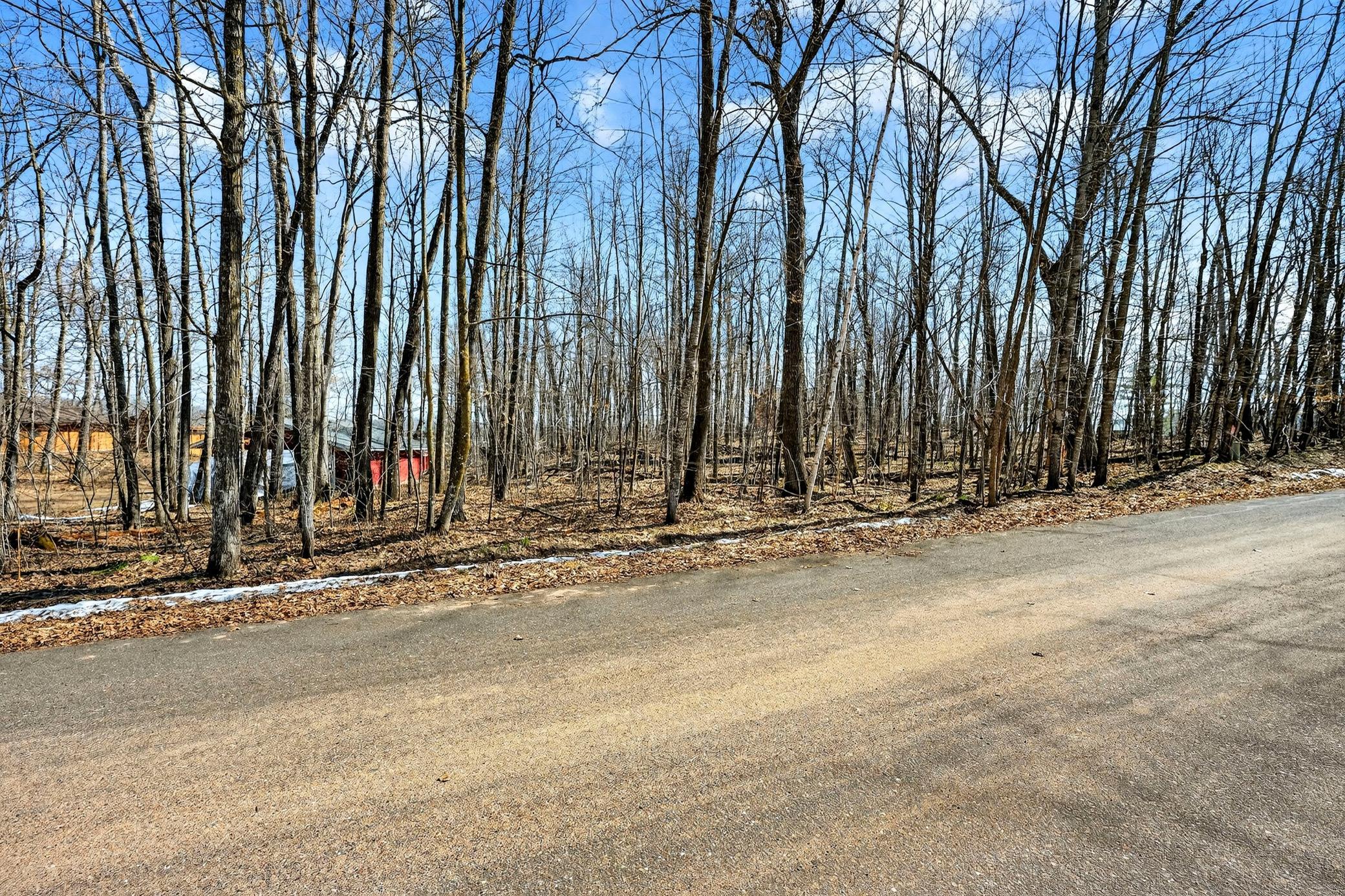 Tbd Ripley Spur Road Sarona, WI 54870 - Photo 9 of 24