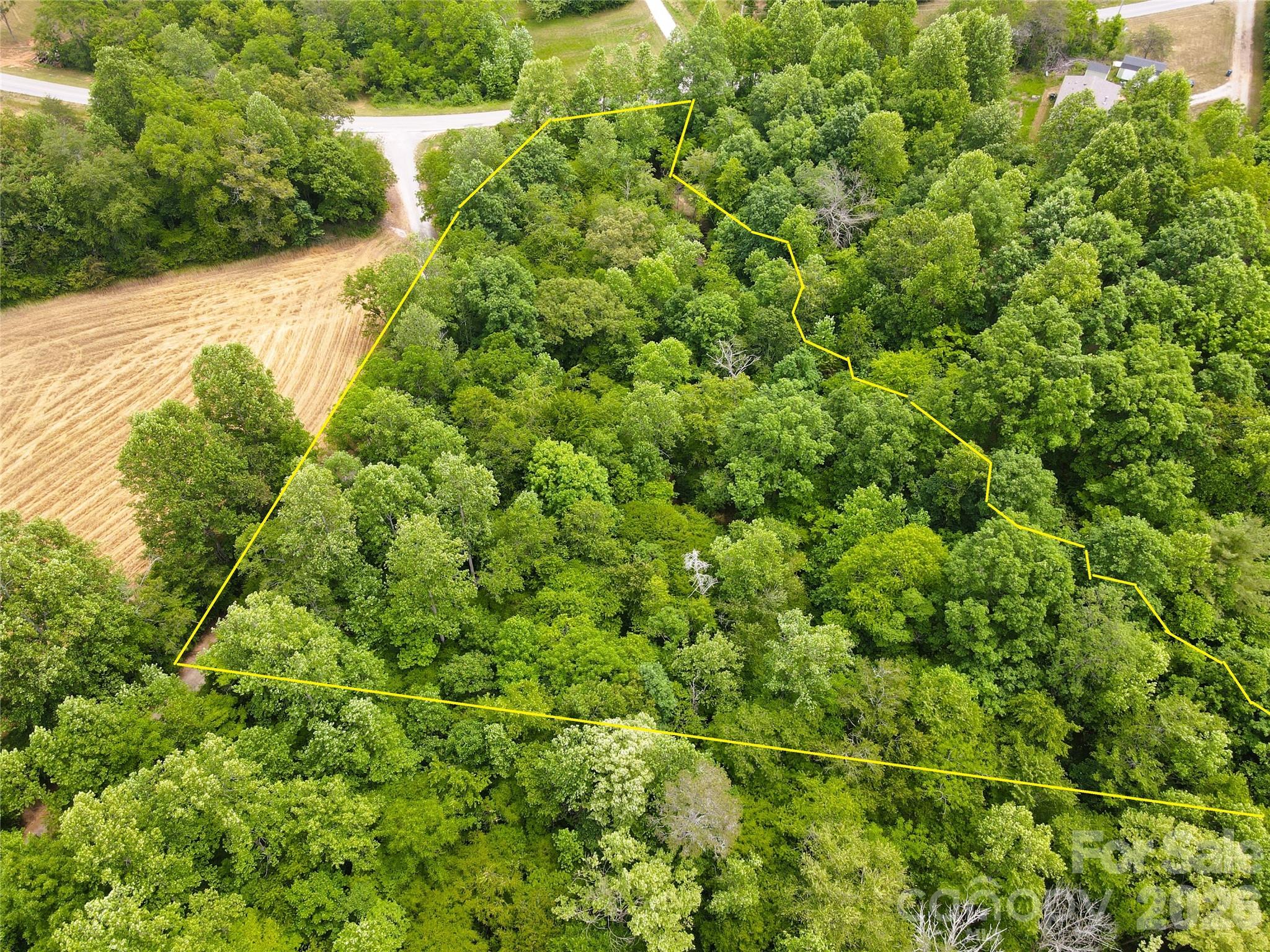 6 Hopewell Church Road, Unit 6 Hiddenite, NC 28636 - Photo 20 of 33 a view of a lush green forest with lots of trees