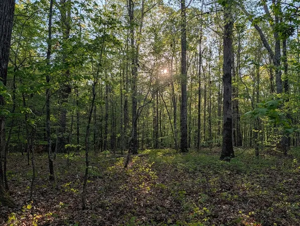 $60,000 | 0 Ga Highway, Hamilton, GA 31811