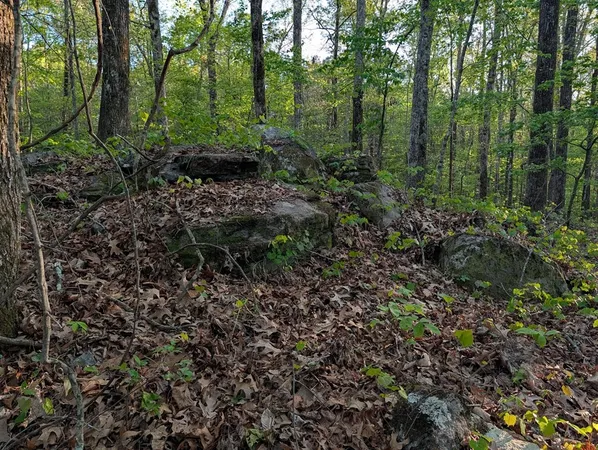 $60,000 | 0 Ga Highway, Hamilton, GA 31811