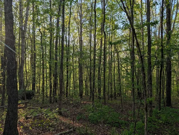 $60,000 | 0 Ga Highway, Hamilton, GA 31811