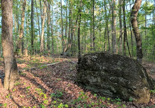 $60,000 | 0 Ga Highway, Hamilton, GA 31811