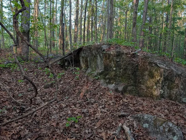 $60,000 | 0 Ga Highway, Hamilton, GA 31811