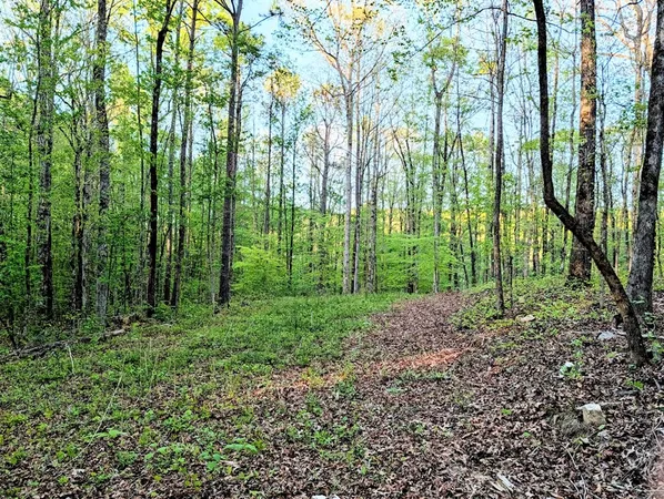 $60,000 | 0 Ga Highway, Hamilton, GA 31811