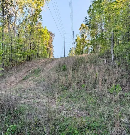 $60,000 | 0 Ga Highway, Hamilton, GA 31811