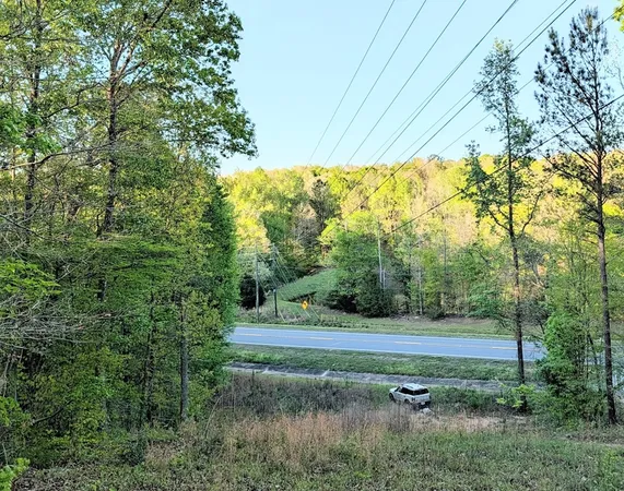 $60,000 | 0 Ga Highway, Hamilton, GA 31811