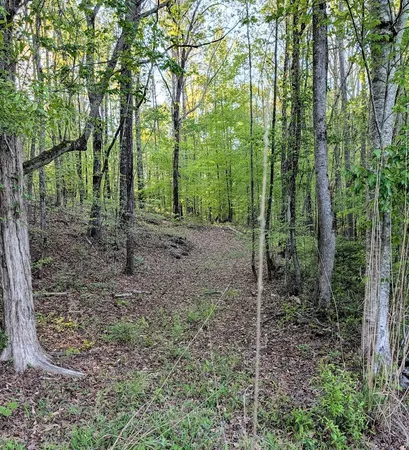 $60,000 | 0 Ga Highway, Hamilton, GA 31811