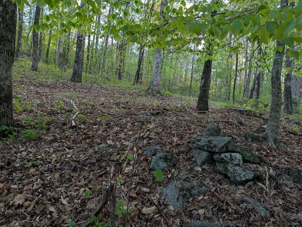 $60,000 | 0 Ga Highway, Hamilton, GA 31811