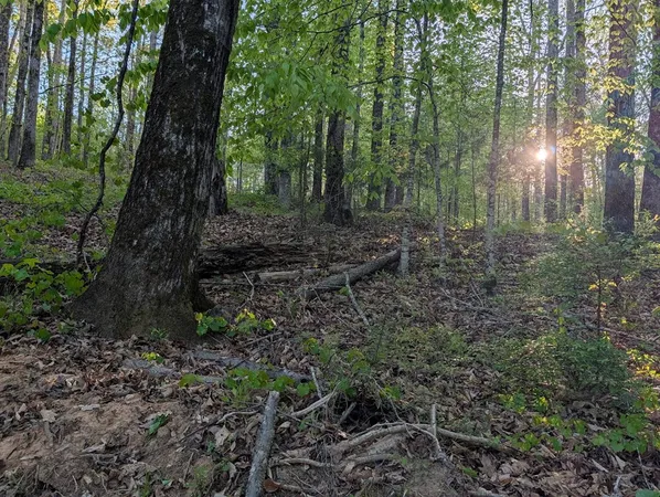 $60,000 | 0 Ga Highway, Hamilton, GA 31811