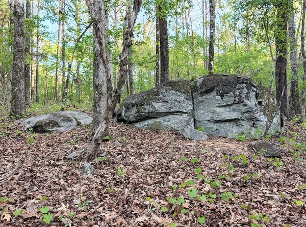 $60,000 | 0 Ga Highway, Hamilton, GA 31811