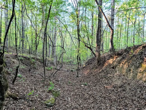 $60,000 | 0 Ga Highway, Hamilton, GA 31811