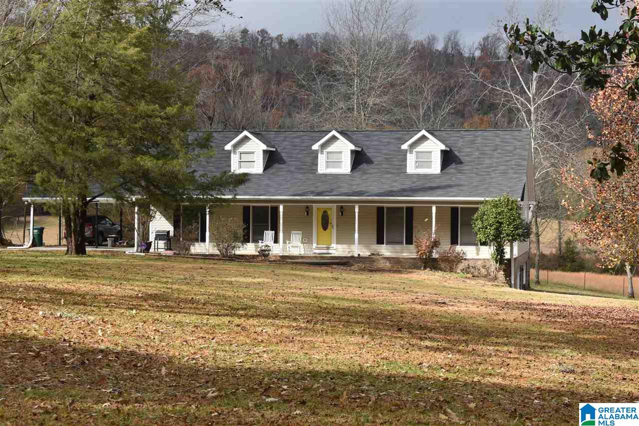 3785 Tidwell Hollow Road Oneonta, AL 35121 - Photo 3 of 42