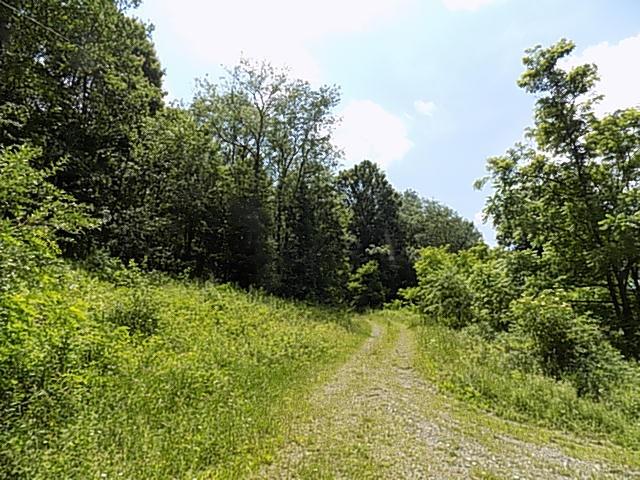 488 Windy Flats Road Shelocta, PA 15774 - Photo 1 of 3 a view of outdoor space and garden