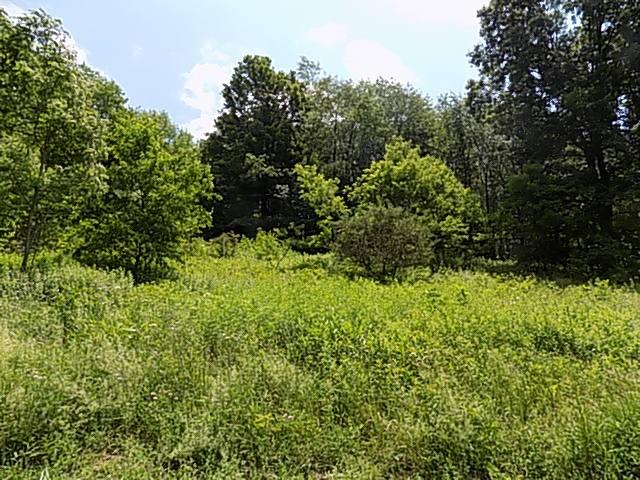 488 Windy Flats Road Shelocta, PA 15774 - Photo 2 of 3 a view of a garden