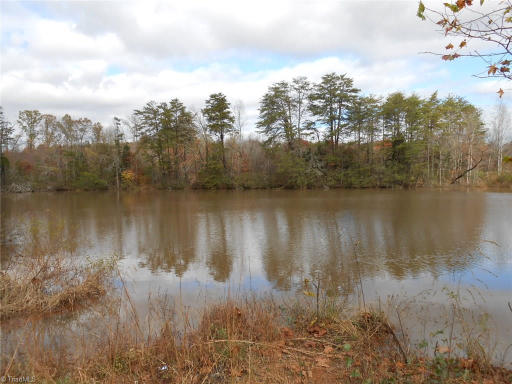 Lot A Perkinson Road Ruffin, NC 27326 - Photo 1 of 23