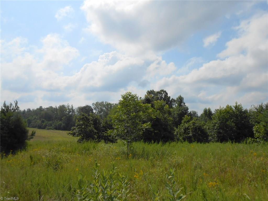 Lot A Perkinson Road Ruffin, NC 27326 - Photo 2 of 23