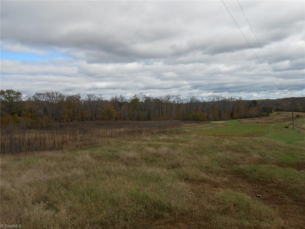 Lot A Perkinson Road Ruffin, NC 27326 - Photo 12 of 23